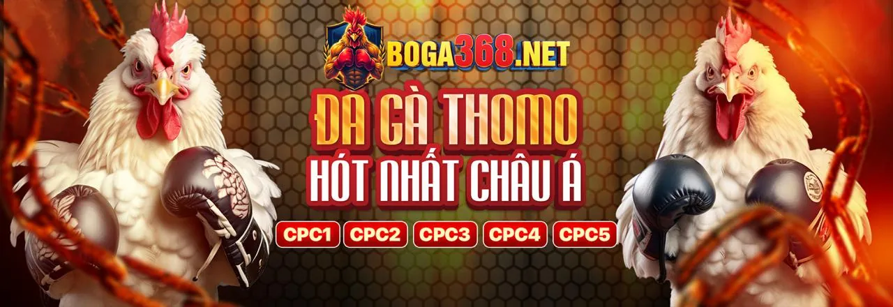 Đá Gà scv288 link - Nền tảng cá cược trực tuyến